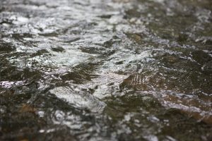 autumn-kids-courses-20161025-2981