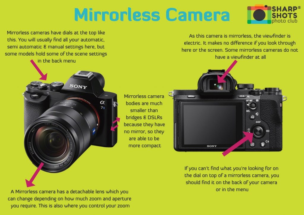 What is a Mirrorless camera, compact camera, bridge camera, DSLR camera, best camera for children, best camera for teenager, sharp shots photo club