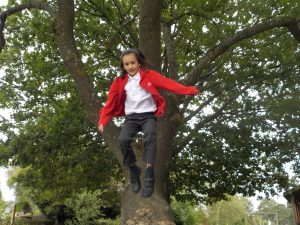 Having fun jumping from tree stumps at after school club